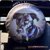 Your favourite dog pic on your caravan spare wheel